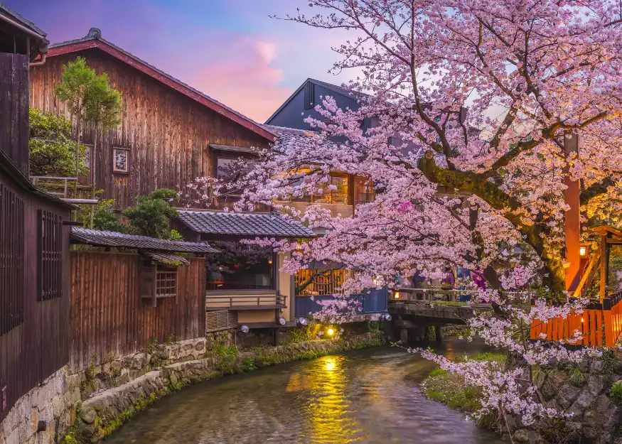 Shirakawa Go – Japan 2026-27 "Young"